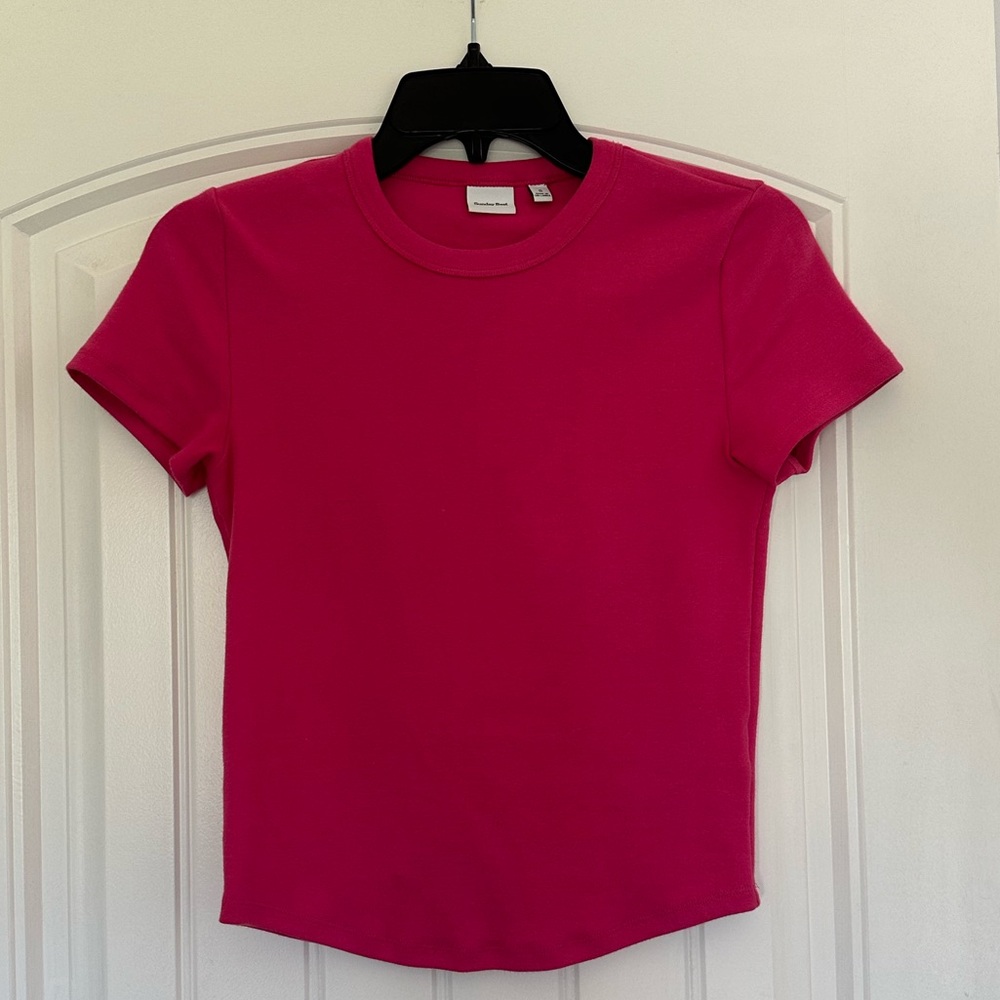 Aritzia Sunday Best Little Ribbed Hip T-Shirt